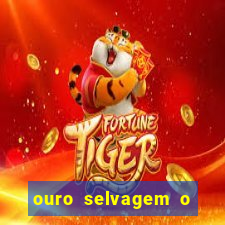 ouro selvagem o que aconteceu na vida